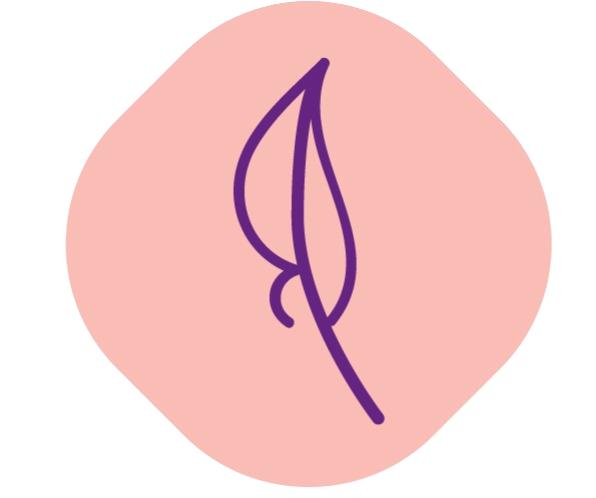 Logo Camino a NuestrAlma